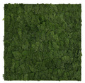 Jangal Modular Wall mospanel 52 x 52 cm - Dark Green